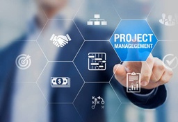 ERP Project Management (enterprise)